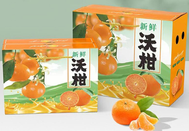 技術(shù)專(zhuān)業(yè)、量身定制